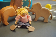 OLYMPUS DIGITAL CAMERA